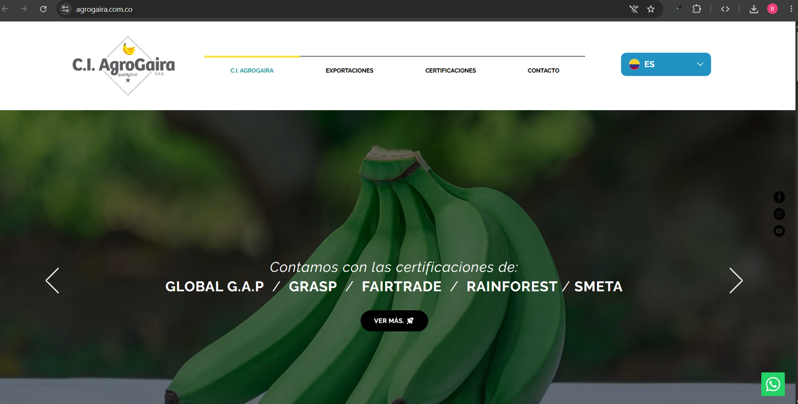 Páginas Web & Portales